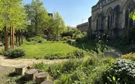 Core Arts receives Chelsea relocation, with Rhs gardens finding new homes