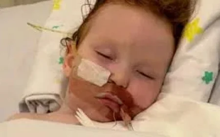 Crumb Australia Recalled Five Powders After Toddler Injury — Creative Metallic Cake Dust Recall