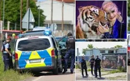 Carmen Zander tiger shot dead near Leipzig after 72-year-old attack