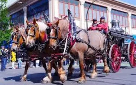 Victoria Day Canada: May Long Returns Cottage Country to Life