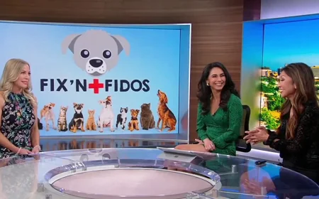 Kacey Montoya appears on Good Day LA after KTLA firing — Ktla