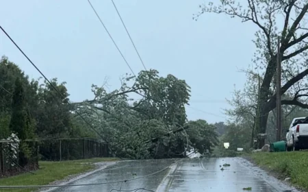 Michigan Storms Leave Outages Across the Dte Outage Map