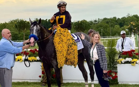 Napoleon Solo Wins Preakness Stakes in 14-Horse Laurel Park Run