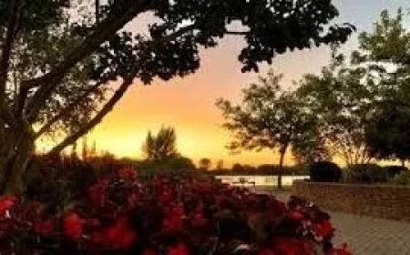 Environment Canada Issues 31 Weather Windsor Heat Warning