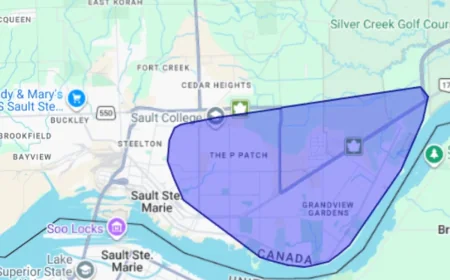 Hydro One Outage Hits 25,000 in Kingston After Animal Contact