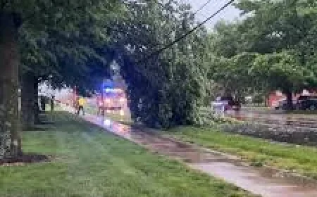 Severe weather leaves over 7,000 Kansas customers without power — Kctv5 Weather