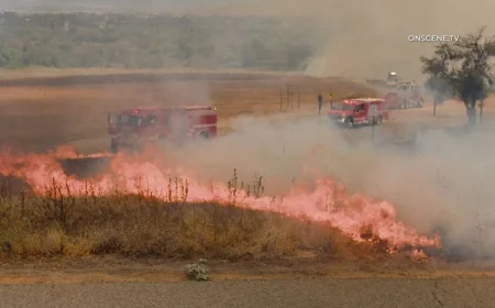 Bain Fire burns seven acres in Jurupa Valley river bottom