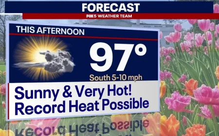 Washington Dc Weather Forecasts 97 Degrees Tuesday — Washington Dc Weather