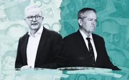 Tim Wilson: McLachlan criticises Taylor's welfare plan over 2 community types