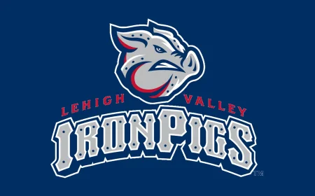 Fernández Drives in Six as Ironpigs Fall 8-4