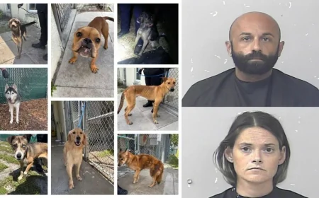 Tip Leads Police to 8 Dogs, 2 Arrests in Port St. Lucie