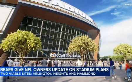 Goodell Says Bears Weigh Arlington Heights, Hammond Sites — Nfl Commissioner Bears Project News