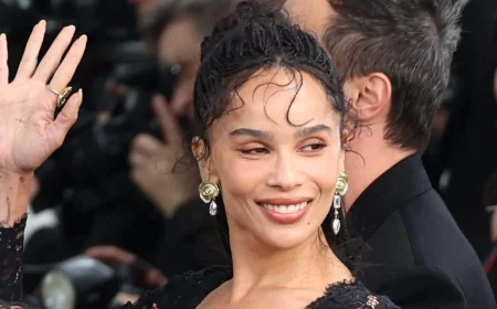 Zoë Kravitz Turns Harry Styles Tour Complaints Into Amsterdam Attention