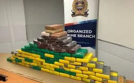 Edmonton police seize $8 million in drugs in Edmonton News probe
