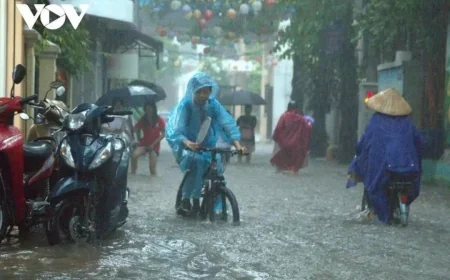 Bao: Hà Nội 34-36 độ, đồng bằng Bắc Bộ trên 36 độ
