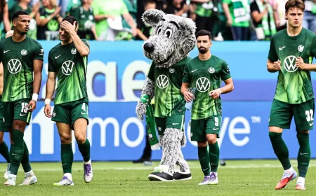 Hecking Urges Wolfsburg Vs Paderborn Fight in Third Relegation
