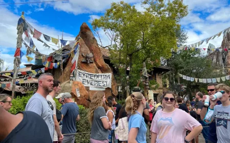 Ontario Man Faces Canadian Man Disney Battery Charge After Disney Arrest