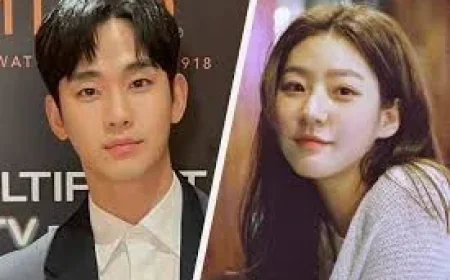 Kim Soo-hyun case: Police seek warrant over AI-faked evidence