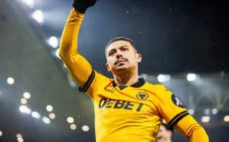 Andre Wolves Extends Deal Until 2030 With Option For One More Year