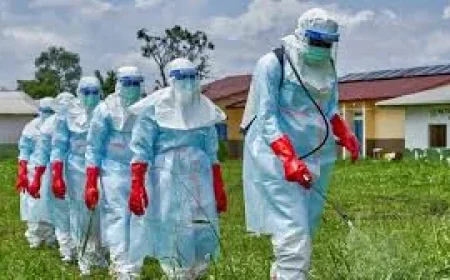 WHO Warns Ebola Vaccine Response Must Match Congo Spread