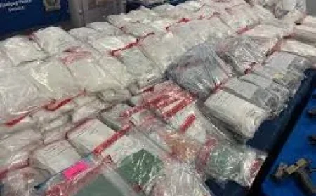 Manitoba Police Bust 33 in Organized Crime Probe