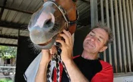 Shane Mcgovern Jockey Dies After Charters Towers Trackwork Accident