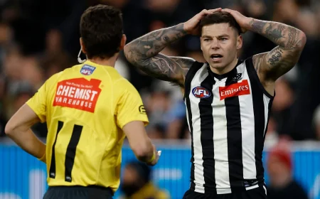 Jamie Elliott stretchered off with left knee injury