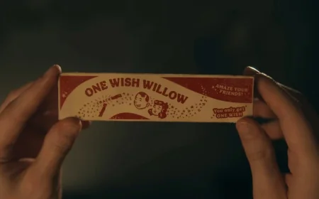Curry Barker Eyes a Franchise for Obsession Movie's One Wish Willow