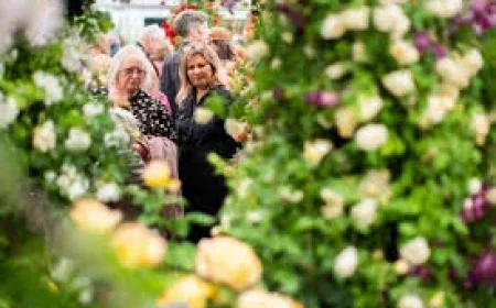 Penrose Sparks Chelsea Flower Show Backlash as RHS Posts £8.1m Loss