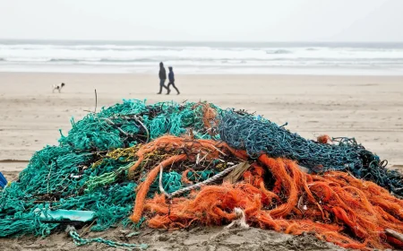 Canada seeks proposals for ghost gear cleanup with Vocm funds