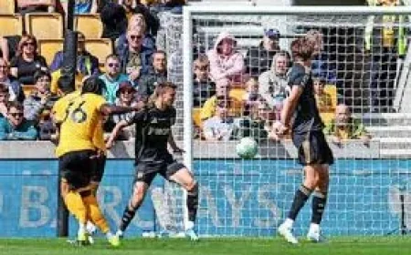 Rob Edwards Urges Wolves in Burnley Vs Wolves Basement Battle
