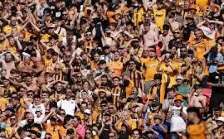 Oli McBurnie Sends Hull City Up 1-0 — Football Results Today