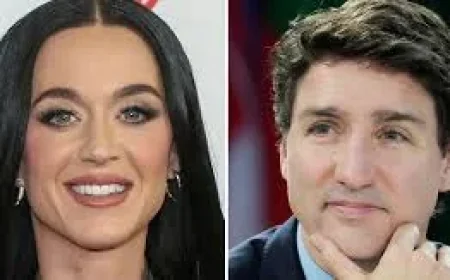 Katy Perry Air Canada Flight Crew Earns Praise After Medical Emergency