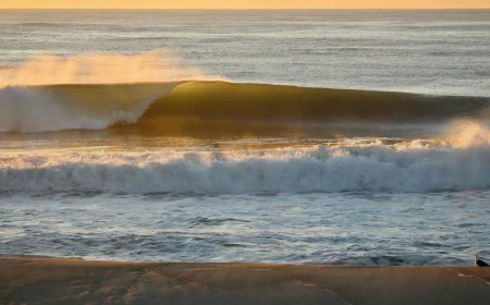 Chris Trainor Backs Summer 2026 on Long Beach Island — Labor Day 2026