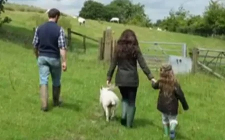 Kelvin Fletcher reunites Aga with flock after emotional goodbye