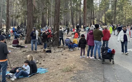 Yosemite National Park Visitor Congestion Surges as 1.8-Mile Roadside Line Forms