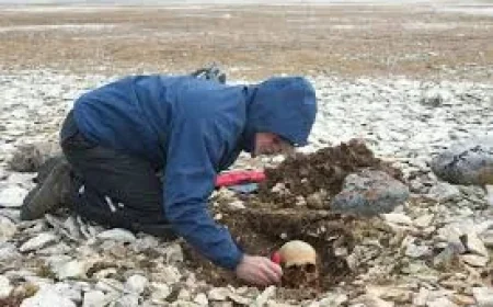 Three Hms Erebus sailors identified through DNA testing