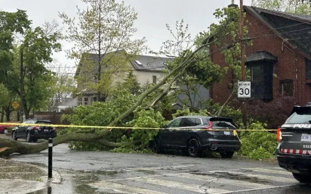 Toronto Hydro, Fire Services handle over 145 outages — Power Outage Toronto