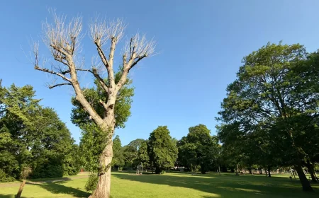 Nottingham Forecast Hits 32C on Bank Holiday Monday — Weather Nottingham