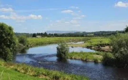 Police search for boy missing after Ribchester River Ribble swim