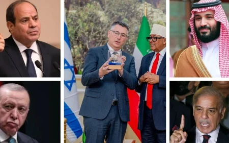 16 Arab, Muslim States Condemn Somaliland Jerusalem Mission Plan