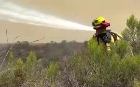 Crews battle Jasper Fire after 5-acre Calabasas blaze