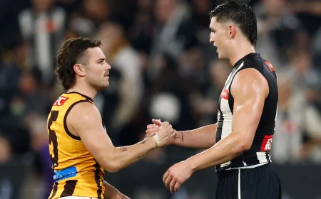 AFL Takes No Further Action on Afl Hawthorn Collingwood Interchange Error