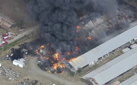 Crews Contain Tesla Fire After Barn Destroyed Near Cross Roads — Livermore Fire