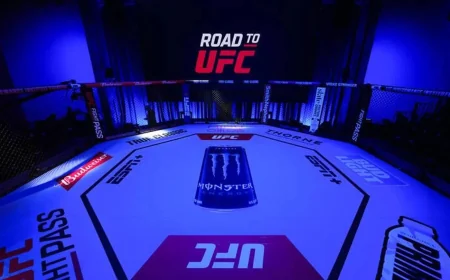 Rabindra Dhant Fight Shapes Road to UFC Macau Bracket