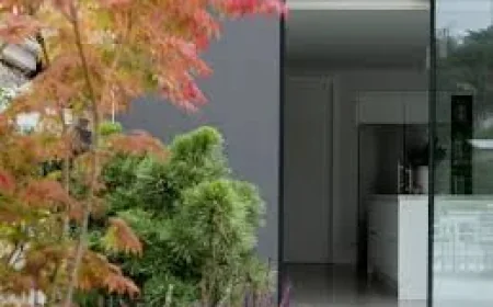 Diarmuid Gavin shows how height lifts small gardens