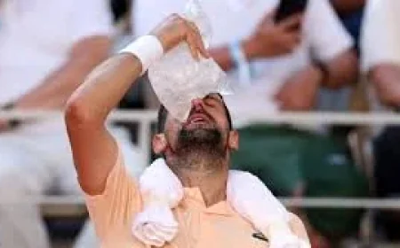 Novak Djokovic advances in Rippling French Open win over Royer
