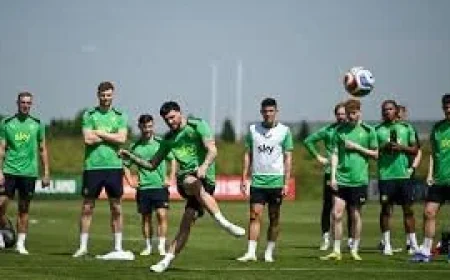 Ireland Vs Qatar: Republic of Ireland Seek Another Aviva Win