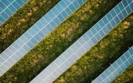 First Solar, Enphase Energy and Canadian Solar Lead Solar Power Outlook