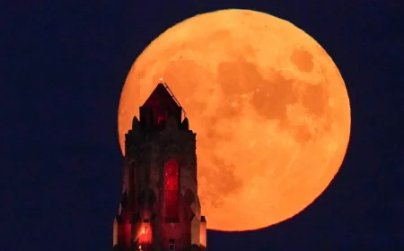Seth McGowan Explains Full Moon May 2026 Blue Micromoon